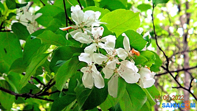 DSC09890

Просмотров: 393
Комментариев: 0