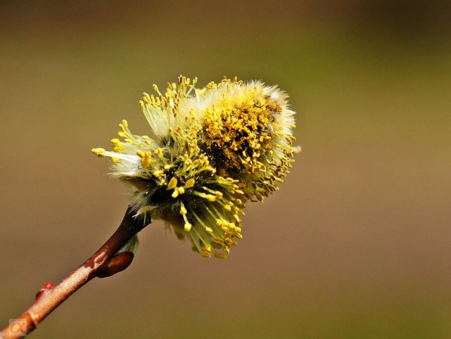 ***
Фотограф: Сергей Буркацкий

Просмотров: 1016
Комментариев: 0