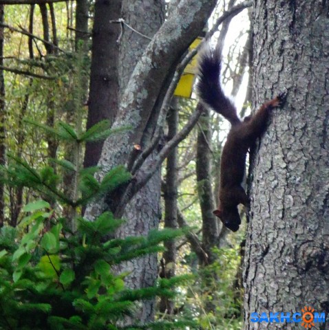 DSC03152
В парке.

Просмотров: 402
Комментариев: 0