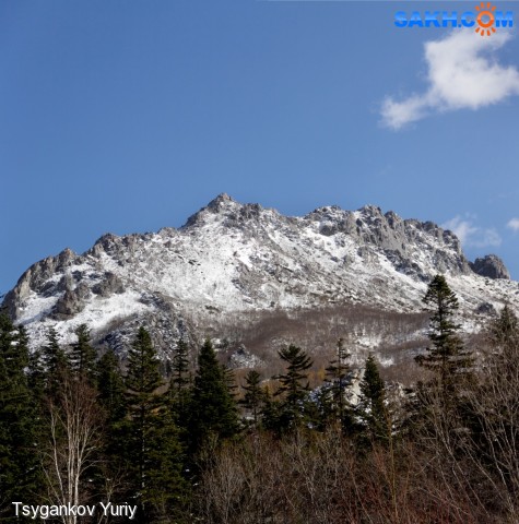 Вайда
Фотограф: Tsygankov Yuriy

Просмотров: 354
Комментариев: 0