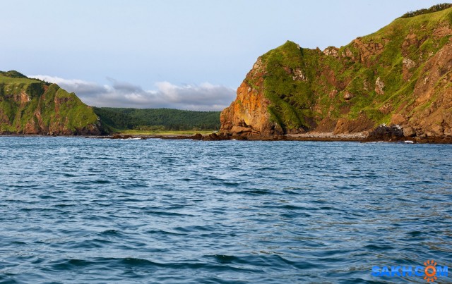 2

Просмотров: 558
Комментариев: 2