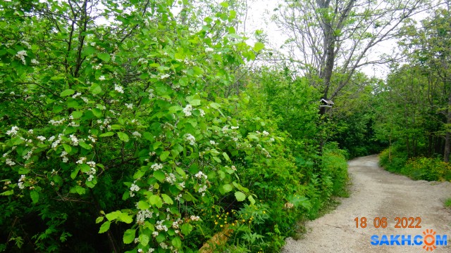 DSC09860

Просмотров: 329
Комментариев: 0