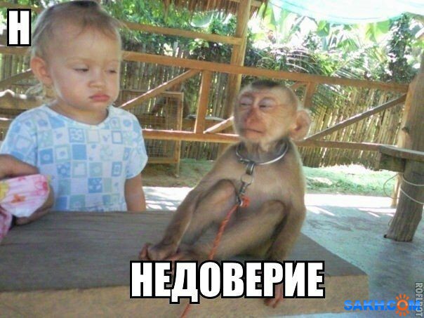 IMG-20140427-WA0011

Просмотров: 1049
Комментариев: 1