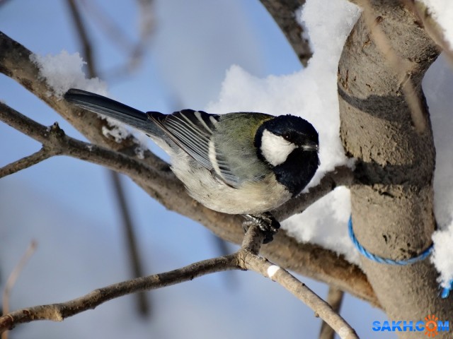 Фото 164

Просмотров: 521
Комментариев: 0