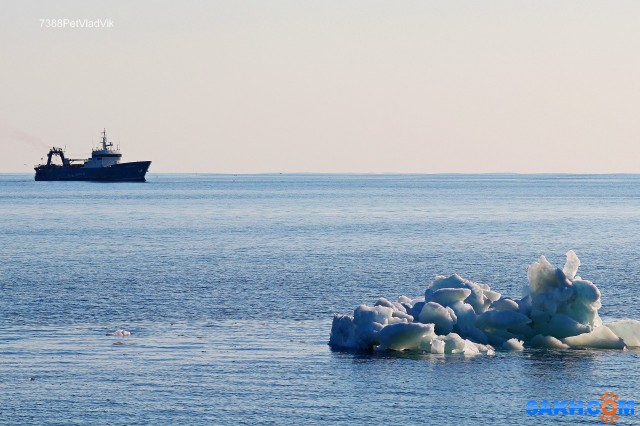 Морские картинки.