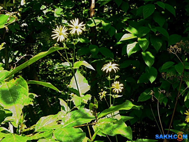 P1210817

Просмотров: 427
Комментариев: 0