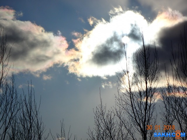 DSC09540