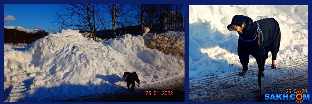 MyCollages

Просмотров: 577
Комментариев: 0