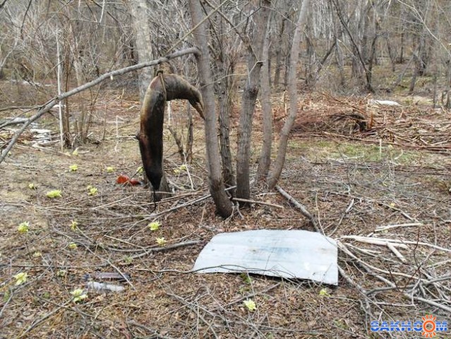 Зачем повесили нерпу?
1 мая 2011 г., вблизи дороги по правому берегу р. Уюновки

Просмотров: 2390
Комментариев: 2