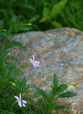 ***
Фотограф: Сергей Буркацкий

Просмотров: 1006
Комментариев: 0