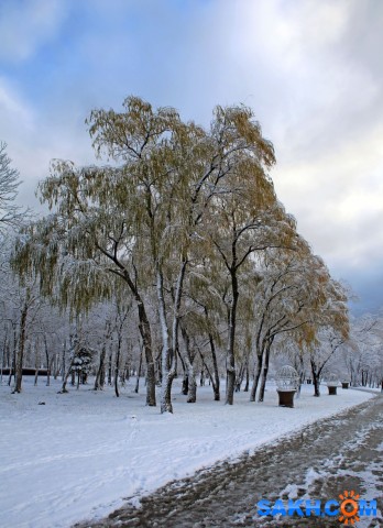 007-к

Просмотров: 461
Комментариев: 0