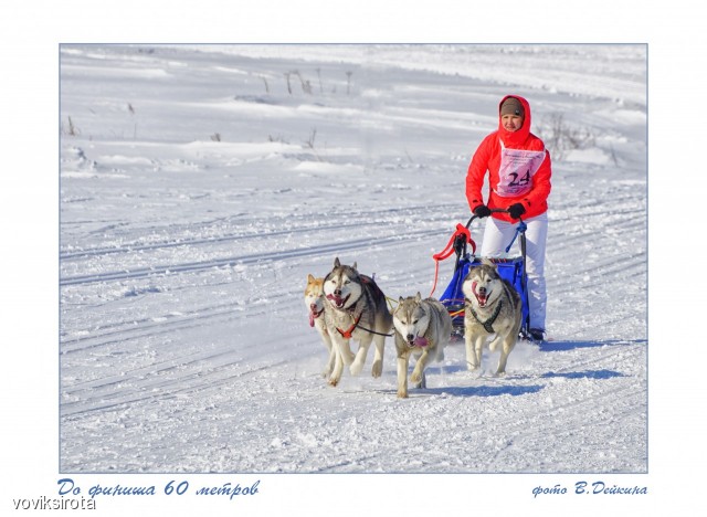 До финиша 60 метров
Фотограф: В.Дейкин

Просмотров: 2759
Комментариев: 2