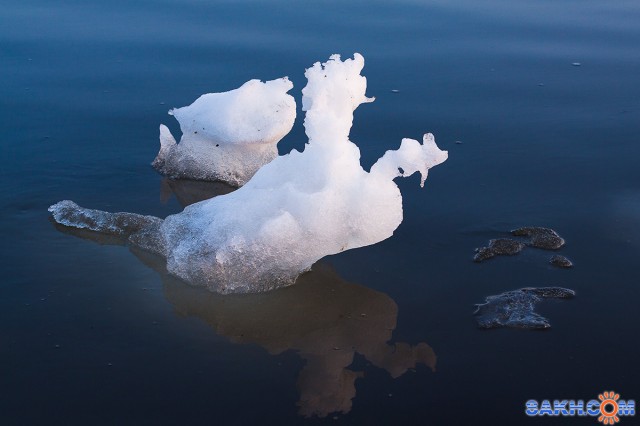 IMG_6319

Просмотров: 851
Комментариев: 2