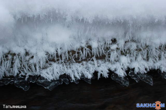 Снежные веточки снежинок.
Фотограф: Татьянишна

Просмотров: 1920
Комментариев: 0