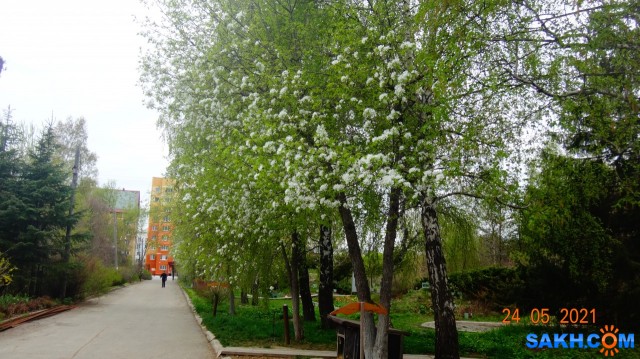 DSC02543