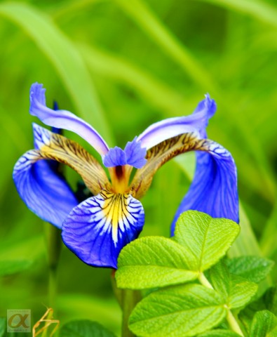 ***
Фотограф: Сергей Буркацкий

Просмотров: 704
Комментариев: 0