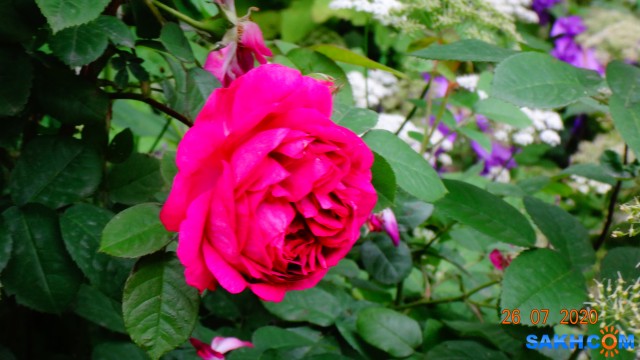 DSC03747

Просмотров: 684
Комментариев: 0