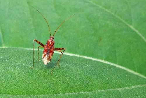 DSC03631
Фотограф: Сергей Буркацкий

Просмотров: 436
Комментариев: 0