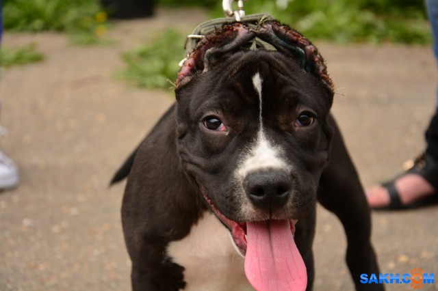 DSC_0056 (1280x853)
Фотограф: Vitus

Просмотров: 395
Комментариев: 0