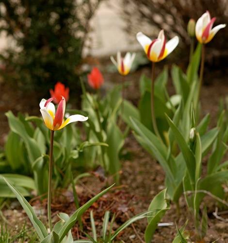 DSC04911
Фотограф: Сергей Буркацкий

Просмотров: 456
Комментариев: 0