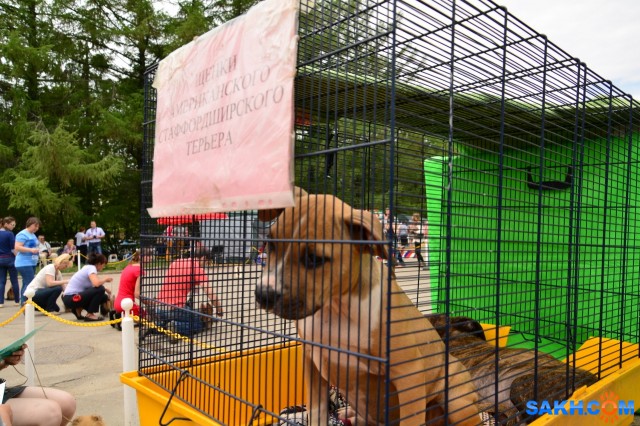 DSC_0176 (1280x853)
Фотограф: Vitus

Просмотров: 404
Комментариев: 1