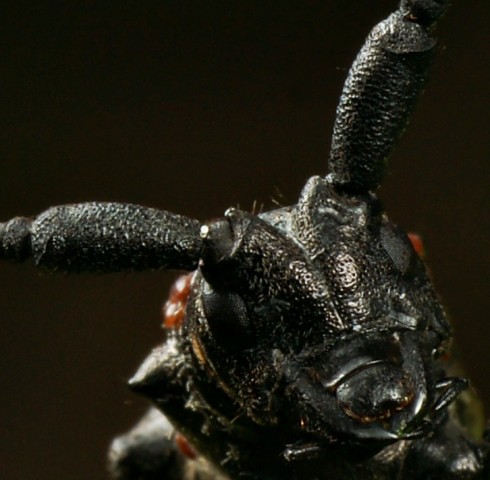 DSC01837
Фотограф: Сергей Буркацкий

Просмотров: 343
Комментариев: 0