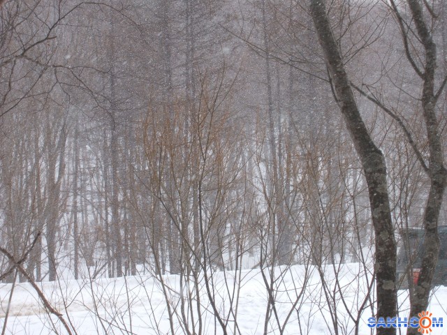 DSCF2274