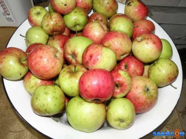 Сахалинские яблоки, выросшие в Холмском р-оне. Куплены у частника.

Просмотров: 635
Комментариев: 0