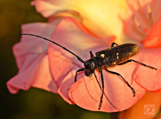 ***
Фотограф: Сергей Буркацкий

Просмотров: 779
Комментариев: 0