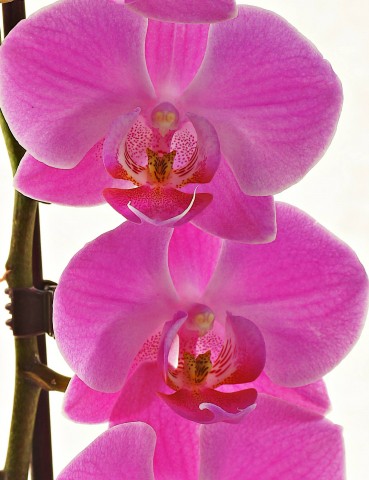 ***
Фотограф: Сергей Буркацкий

Просмотров: 949
Комментариев: 0