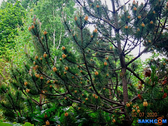 DSC02382

Просмотров: 461
Комментариев: 0