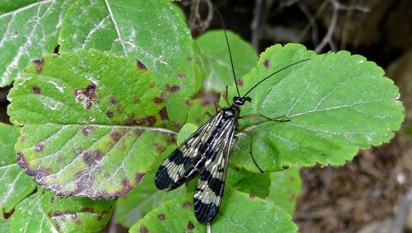 DSC00304
Фотограф: Сергей Буркацкий

Просмотров: 157
Комментариев: 0