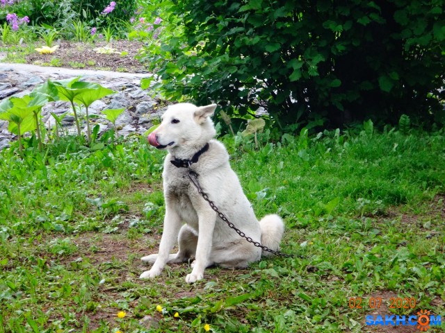 DSC02386

Просмотров: 633
Комментариев: 0