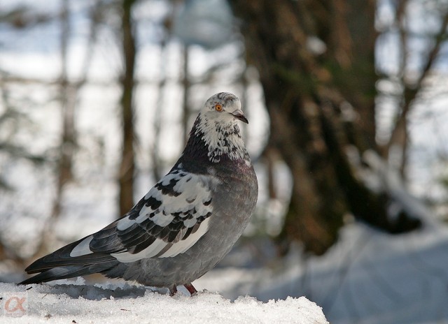 ***
Фотограф: Сергей Буркацкий

Просмотров: 1230
Комментариев: 0
