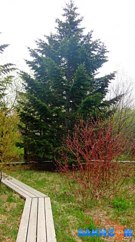 DSC02644