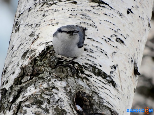 DSC02873

Просмотров: 578
Комментариев: 0