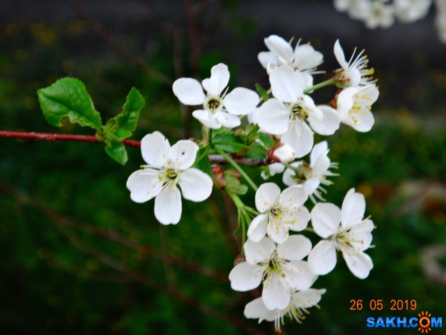 DSC07260

Просмотров: 681
Комментариев: 0
