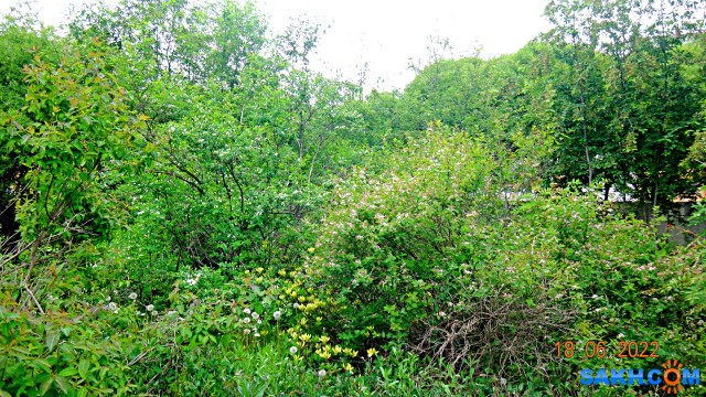 DSC09776

Просмотров: 296
Комментариев: 0