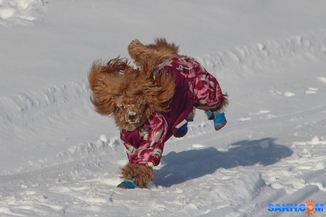 На прогулке

Просмотров: 362
Комментариев: 0