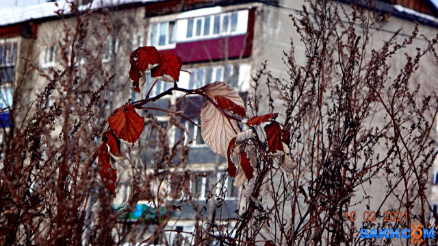 DSC09978

Просмотров: 1041
Комментариев: 0