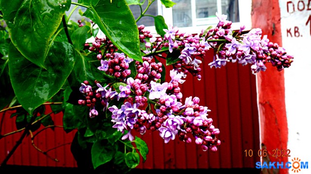 DSC09737

Просмотров: 390
Комментариев: 0