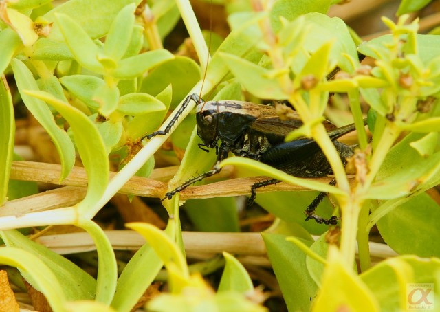 ***
Фотограф: Сергей Буркацкий

Просмотров: 822
Комментариев: 0