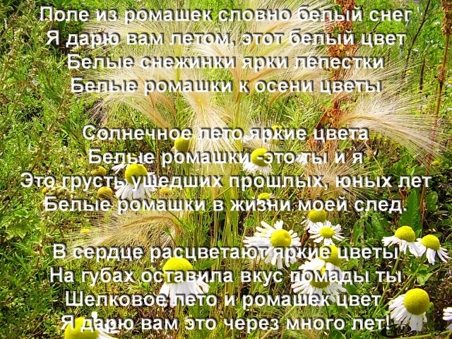 Поле из ромашек словно белый снег
Фотограф: alexei1903

Просмотров: 2592
Комментариев: 0
