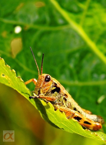 ***

Просмотров: 571
Комментариев: 0