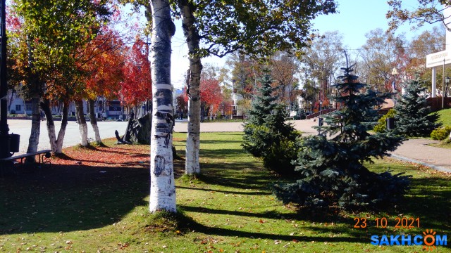 DSC06997

Просмотров: 338
Комментариев: 0