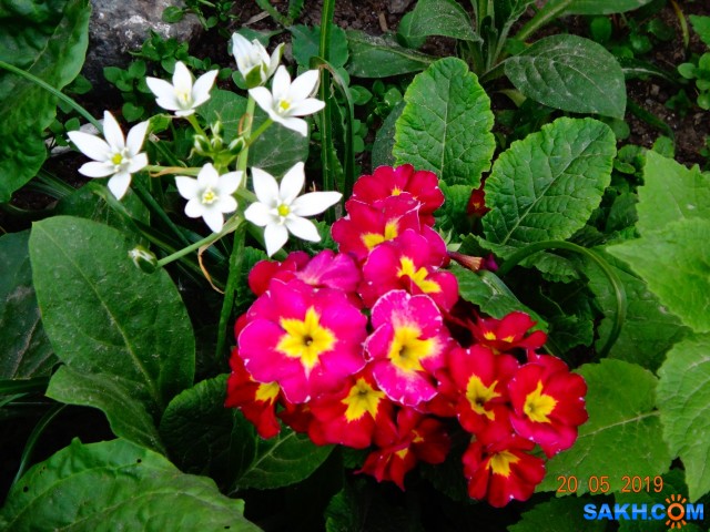 DSC06892

Просмотров: 551
Комментариев: 0