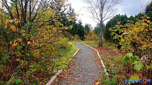 DSC08025

Просмотров: 377
Комментариев: 0