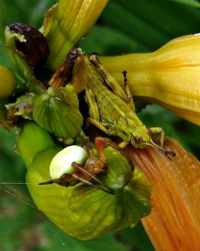 DSC00191
Фотограф: Сергей Буркацкий

Просмотров: 396
Комментариев: 0