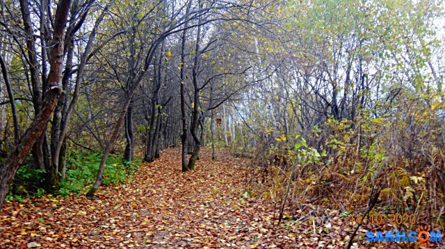 DSC08038