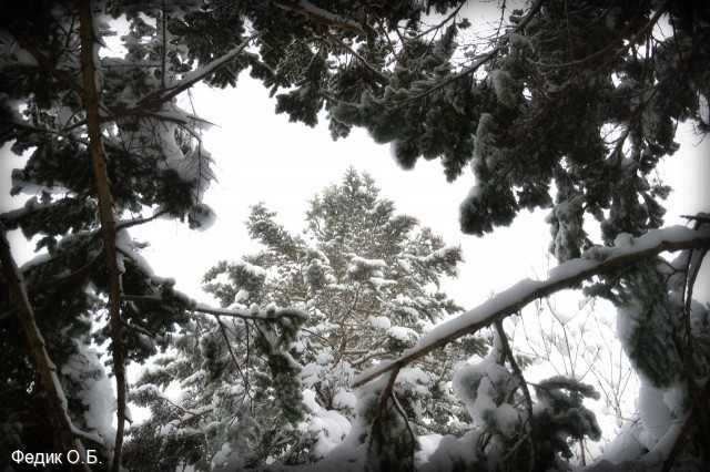 обкатка снегоступов
Фотограф: Федик О.Б.

Просмотров: 943
Комментариев: 0